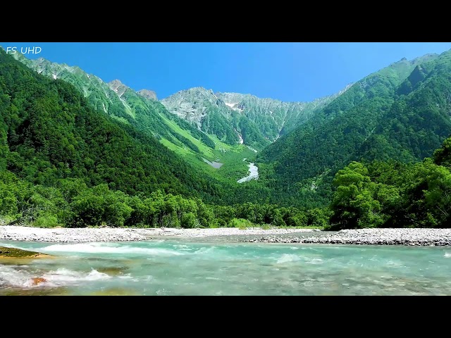 Beautiful River in the Mountains, Birdsong with Babbling Brook, Sleep, Relax, Focus, ASMR