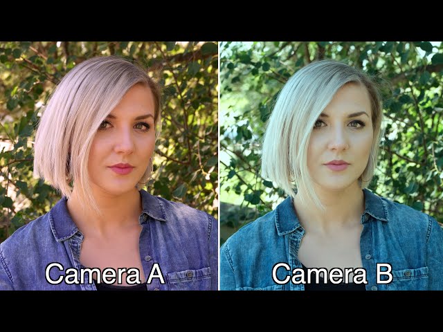 Sony vs Fujifilm - Which Camera has the Best Colors?