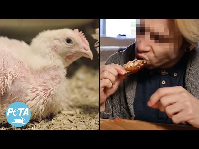 Eating #chickenwings Is Creepier Than You Thought