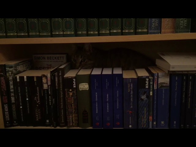 Audrey is into the books