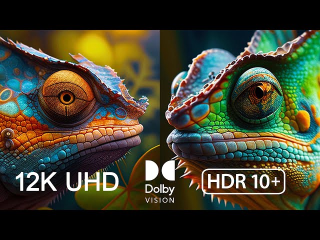 Ultra-Realistic 12K HDR at 120fps Dolby Vision: Stunning Nature Footage with Relaxing Music | VR/360