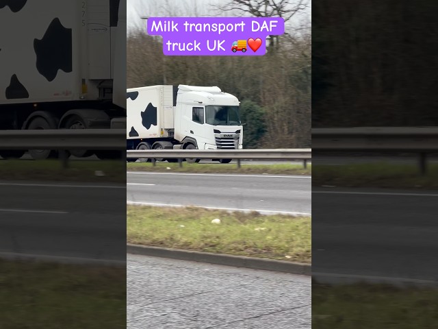 Milk transport DAF truck England Hamshire | 🚚❤️| #truckspotting #truckspotter #trucker