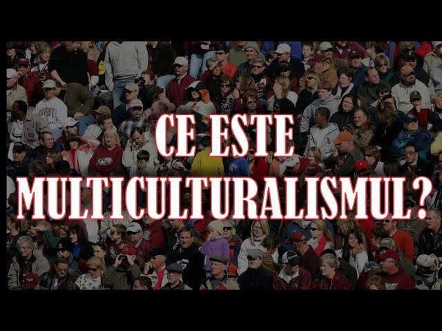 #2i Ep.05 Ce este multiculturalismul? Invitat Alin Fumurescu