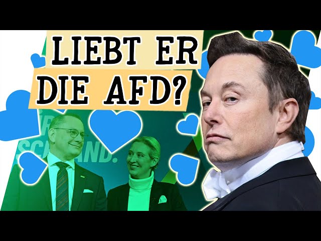 Ist Elon Musk ein Alice Weidel Fan?