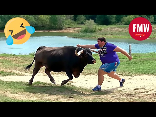 Funny & Hilarious People's Life 😂 #118 - Try not to Laugh | Best Funny Fails Compilation 2024