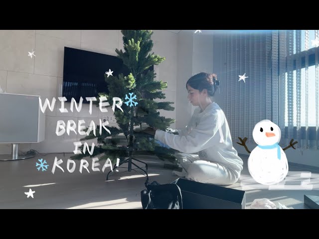 Korea vlog - 홈 스윗홈