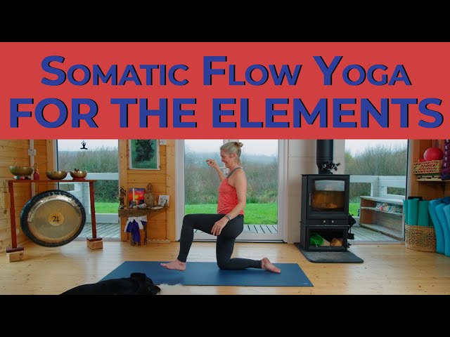 Somatic Flow Yoga For The Elements