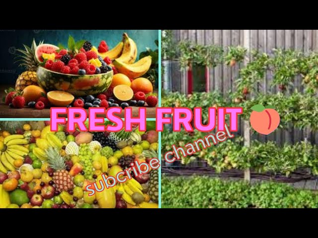 "Secrets of Beautiful Fruit Orchards:Transform Farming with High-Yield Techniques!"100 #shorts