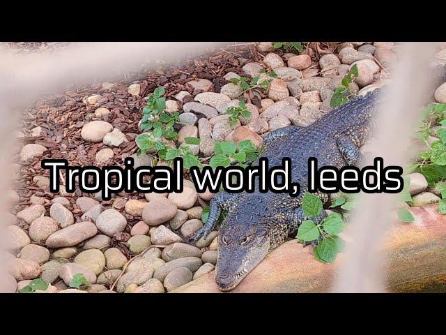 Tropical World Leeds in 4K HDR.