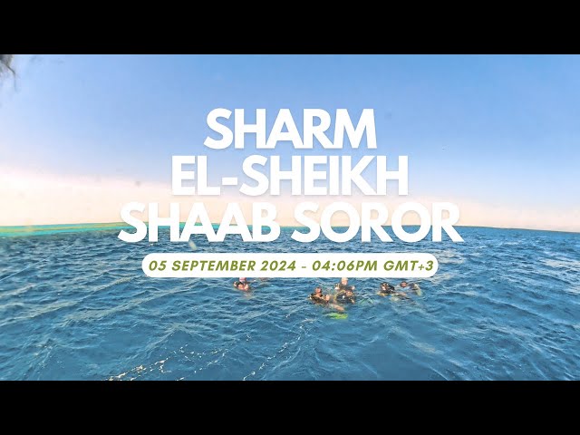 Sharm El-Sheikh Shaab Soror Dive Point - 05 September 2024