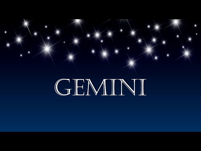 GEMINI THIS PERSON WANTS TO MARRY YOU!