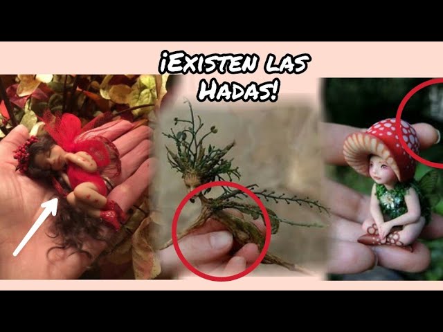 ¡6 Increíbles Hadas Reales Captadas en Camara!