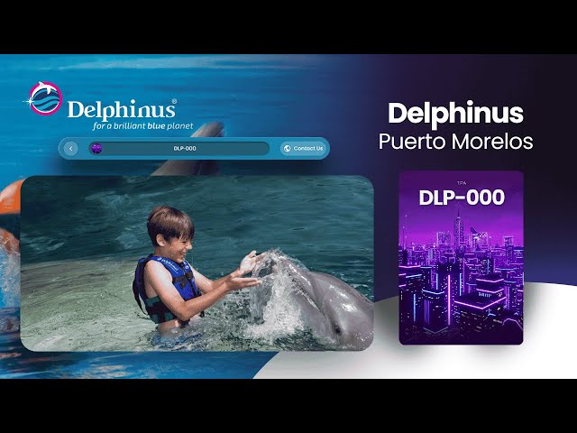 Delphinus Puerto Morales