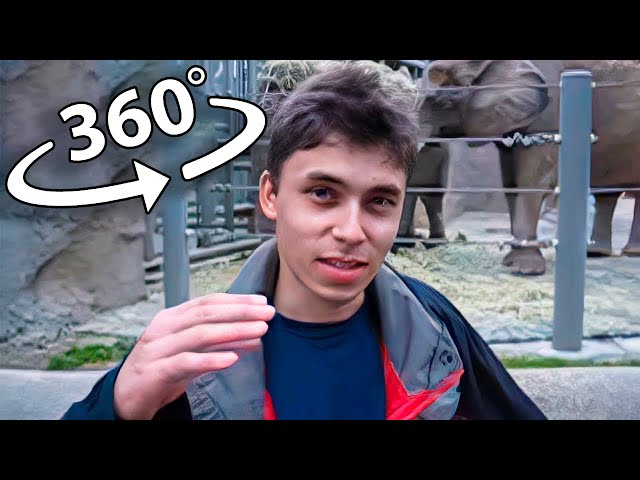 Me at the zoo - 360º VR Video