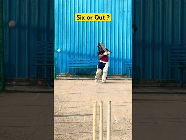 Six or out ? #cricket #battingtips #cricketdrills #battingbasics #ytshorts