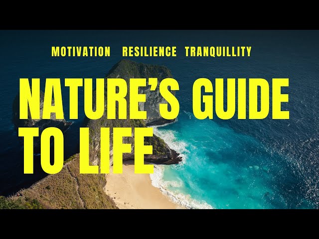 Nature's Guide to Life 🌿 | Motivation, Resilience, Tranquillity | Nurture your Inner Strength