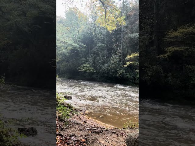 Quiet River Sounds In The Forest: Rest and Relax