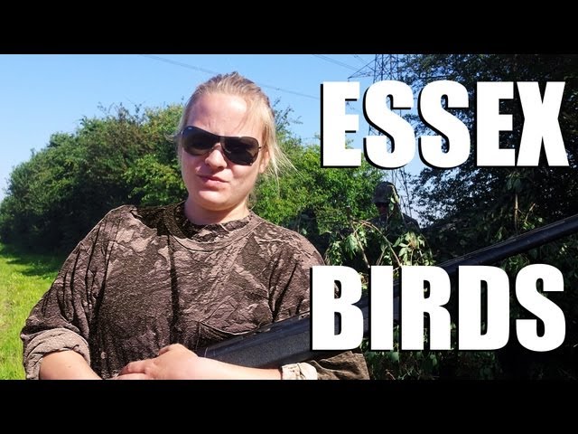 Fieldsports Britain - Shooting pigeons in Essex, and the fallow buck season starts, episode 141