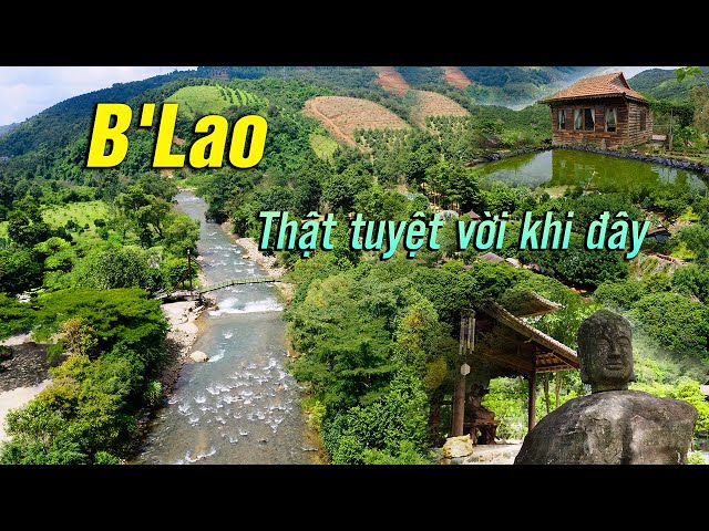 Tận Hưởng Thiên Nhiên, Yên Bình Tại B'Lao | Bảo Lộc