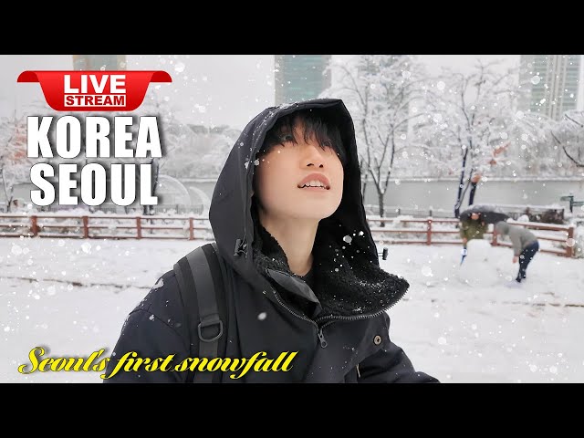 Live Korea Seoul 🇰🇷 2025 Korean Lunar new year 🤩 Seoul Snow Street Walking Tour | Korean Food Street