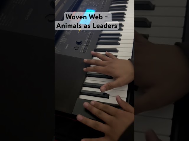 Woven Web (keyboard clav slap cover).   #animalsasleaders #wovenweb #keyboardsolo #tosinabasi