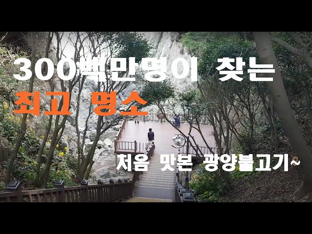 연간 300만명 이상이 찾는 여수 오동도 여행 & 처음 맛본 광양불고기