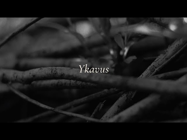 POTHAMUS - Ykavus