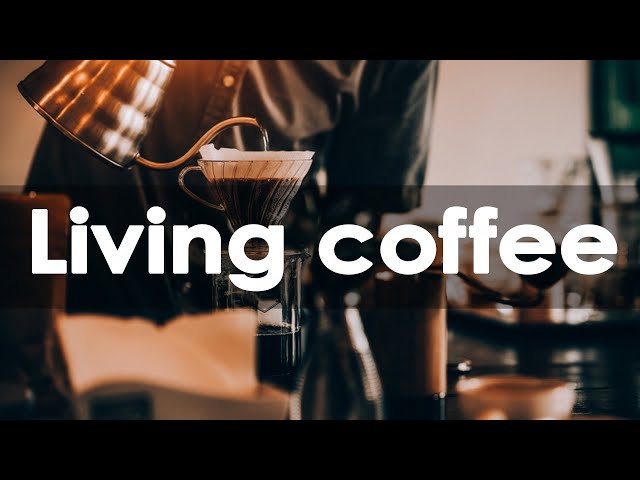 Live Coffee - Relaxing Coffee Music - Jazz Music To Work, Study