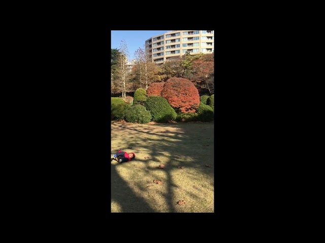 Playing at Yoyogi Park Tokyo Japan