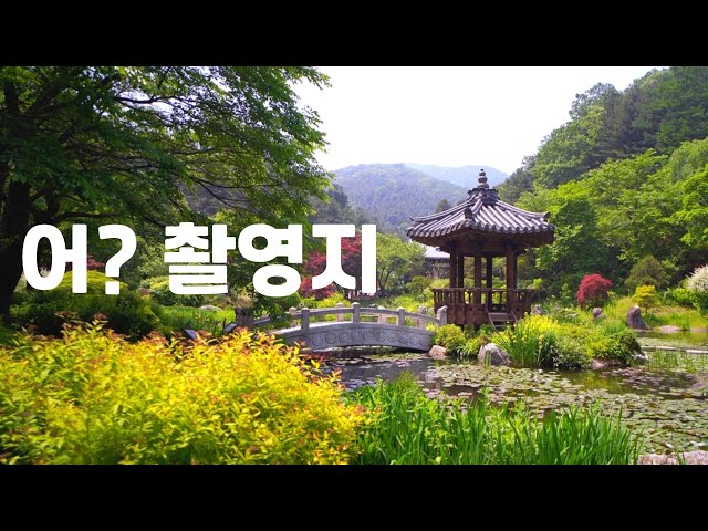 The Garden of Morning Calm | South Korea Travel