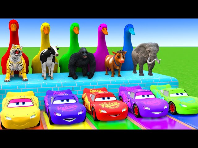 5 Giant Duck Cartoon,Cow,Elephant,Tiger,Lion,Dinosaur,Paint Wild Animals Crossing Fountain Animation