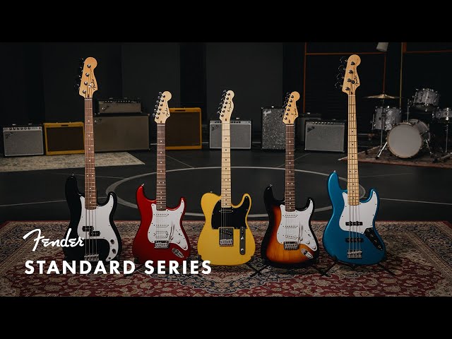 Exploring the Standard Series | Fender