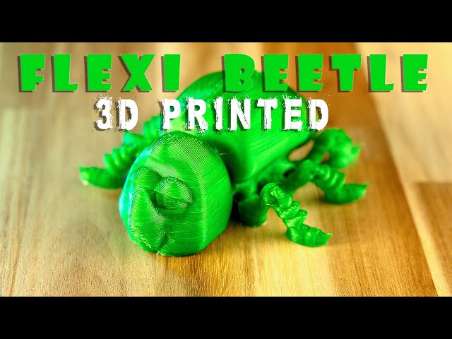 3D Printed ARTICULATED FLEXI BEETLE   || Ender 3 Pro  || 4K Timelapse