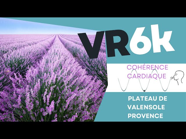 Cohérence cardiaque pour tous - VR Immersive 360 degrés avec aide respiratoire 5 mins exercice