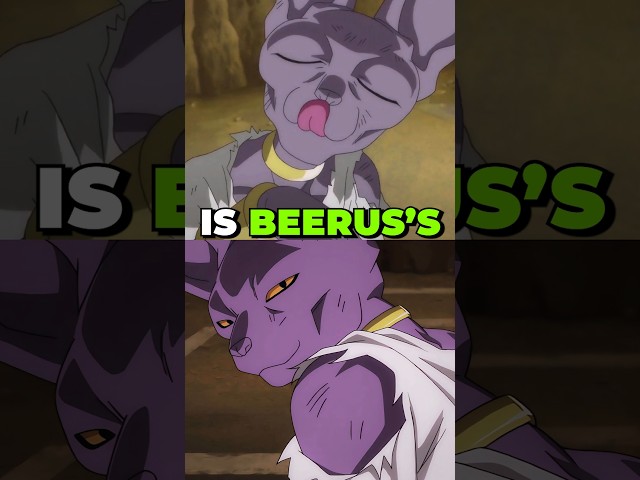 Is Beerus' race there in DAIMA Anime?!