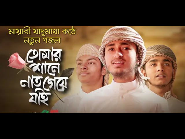 মায়াবী যাদুমাখা কণ্ঠে নতুন গজল | Tomar Shane Naat Geye Jai | Qari Abu Rayhan | Habib Tune Studio