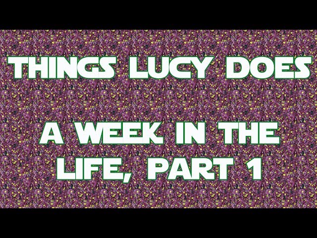 Things Lucy Does: A Week in the Life, Part 1 (Monday-Wednesday)