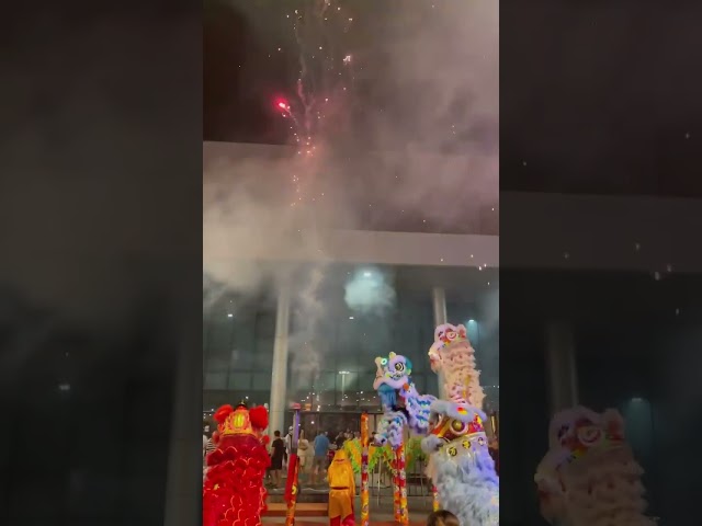 Helio Center Đà Nẵng / Lsr Tăng Thiện Tài Đà Nẵng 🔥🔥🔥 #mualandanang #mualankhaitruong #liondance