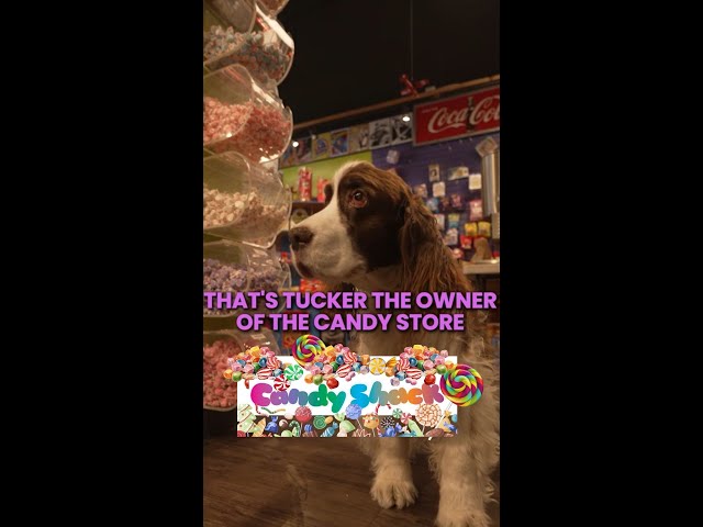 Tucker  The Store Owner - Faeine at  Candy Shack Pt.2