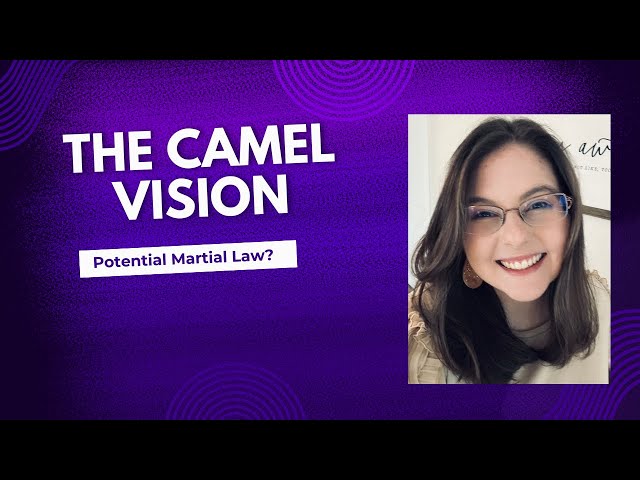 The Camel Vision