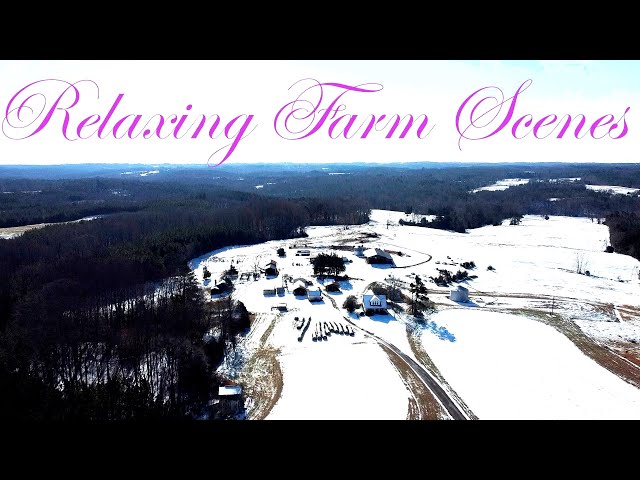 Relaxing Farm Scenes set to Classical music (time lapse and drone footage) #78