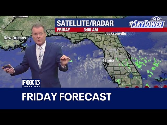 Tampa weather | Friday forecast