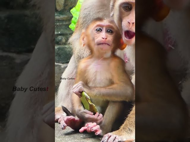 Cutie Baby Upset With Mother