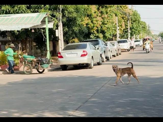 Expat Life In Cambodia