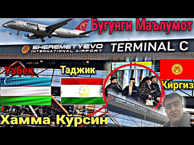 Тезкор! Аэропорт Шереметьево Домодедово Внуково Жуковский Хамма Кўрсин @YoldoshbekKarimov