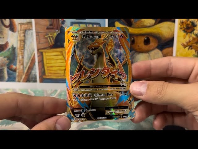 $1,000 XY Era Pokémon Binder with Error Charizard!