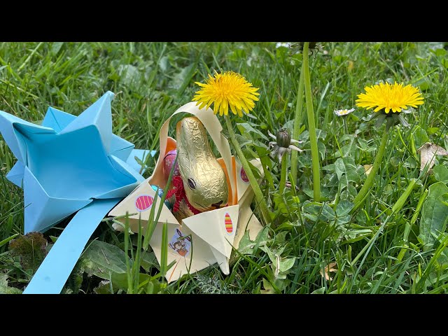 How to create an amazing, DIY Easter Basket? 👯‍♀️🐣🌼