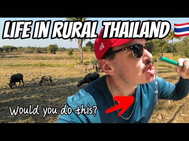 Living in RURAL THAILAND - Would You Do This?