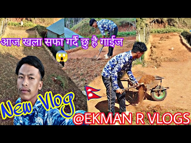 कोदो कुड्नको लागि आँगन(खला ) दरो पाराले सफा गरियो।#nuwakoteboy #plz_subscribe_my_channel #missyouall