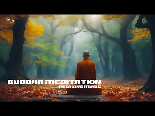 Buddha Meditation | Beautiful Relaxing Music | Healing Sleep Music | Meditation Music | Study